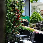 Bonsai 4*