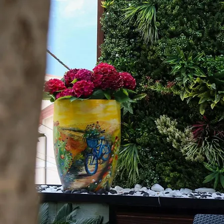 Bonsai Mjull-Bethore