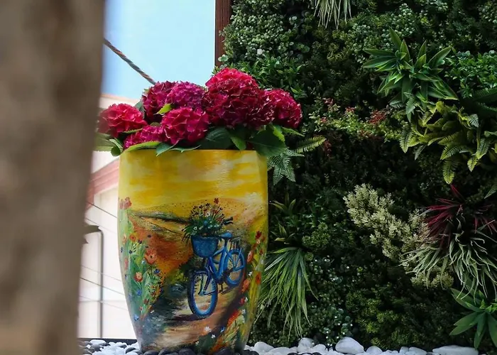 Bonsai Mjull-Bethore